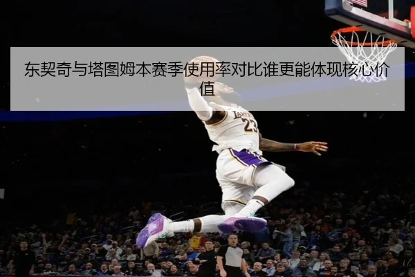 东契奇与塔图姆本赛季使用率对比谁更能体现核心价值
